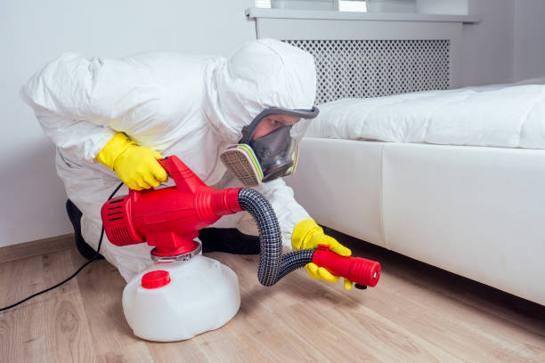Best Pest Control Near Me  in East Petersburg, PA