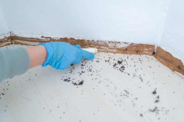 Pest Control Cost in East Petersburg, PA